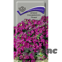 Арабис Розовый Поиск Ц