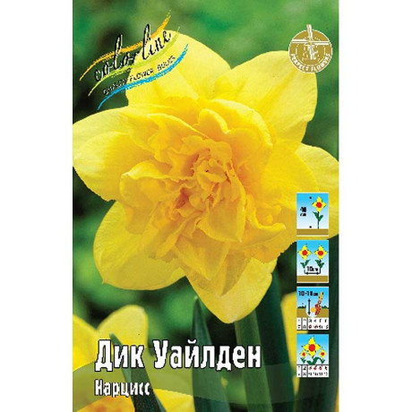 2106 Шоу-Бокс Нарцисс Дик Уайлден 12/14 50 шт