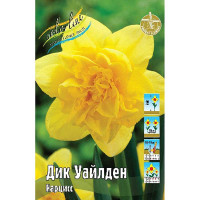 2106 Шоу-Бокс Нарцисс Дик Уайлден 12/14 50 шт