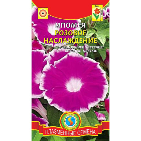 Ипомея Розовое наслаждение Плазма Ц