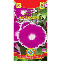 Ипомея Розовое наслаждение Плазма Ц