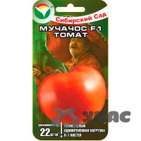 Семена Томат Мучачос Сибирский Сад