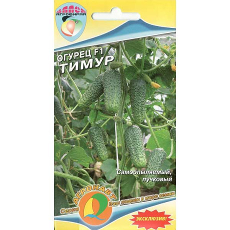 Огурец Тимур Наш сад Ц