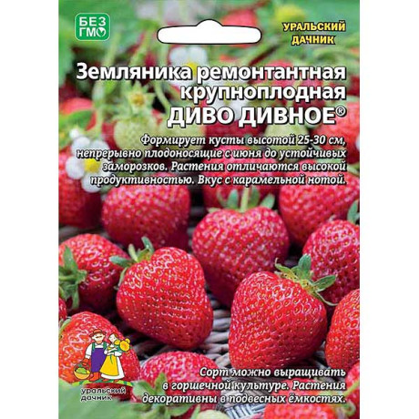 Земляника Диво дивное Марс Ц