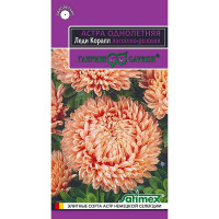 Астра Леди Корал Лососево-розов (эксклюзив) Гавриш Ц