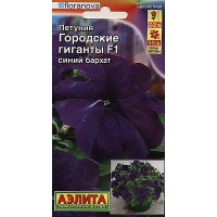 Петуния Городские гиганты синий бархат Аэлита Ц
