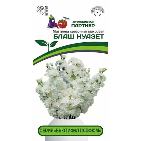 Маттиола Бьютифул Парфюм Блаш Нуазет Партнер Ц