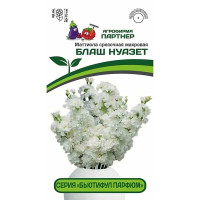 Маттиола Бьютифул Парфюм Блаш Нуазет Партнер Ц