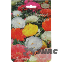 К Портулак Княжеский коврик смесь (Германия) Каприс