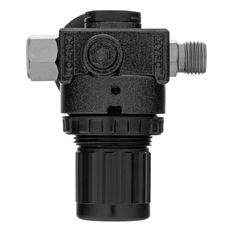 Регулятор давления с манометром R1500, 12 бар, 1/4" Denzel