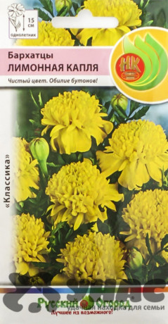 Бархатцы Лимонная капля НК Ц