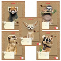 Тетрадь 18 л. BRAUBERG линия, обложка картон, &quot;МИЛЫЕ ЗВЕРУШКИ&quot;, 403580