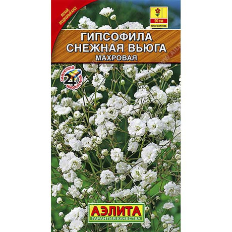 Гипсофила Снежная вьюга Аэлита Ц