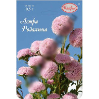 К Астра Помпонная розовая Розалина Каприс