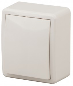 ЭРА Эксперт выкл. ОУ 1 кл. 10А, сл.кость, 11-1201-02, Б0020655