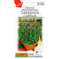 Душица Северное сияние Аэлита