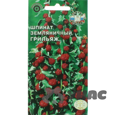 Шпинат Грильяж землян. Седек Ц