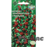 Шпинат Грильяж землян. Седек Ц