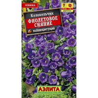 Колокольчик Фиолетовое сияние Аэлита Ц