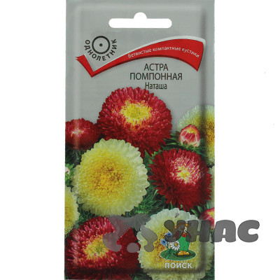 Астра Наташа помпонная Поиск Ц
