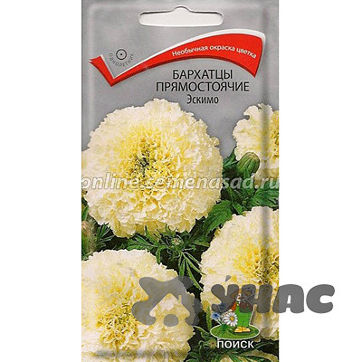 Бархатцы Эскимо прямост Поиск Ц