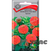 Циния Фея Красная низкорослая Поиск Ц