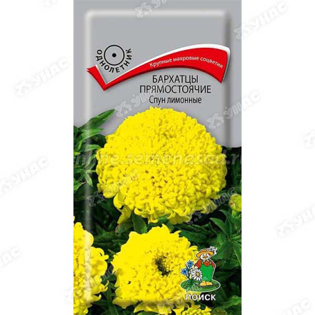 Бархатцы Спун Лимонные Поиск Ц