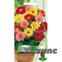 КОМ Гербера Джемсона Поиск Ц