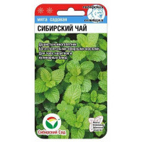 Мята Сибирский чай СибСад Ц