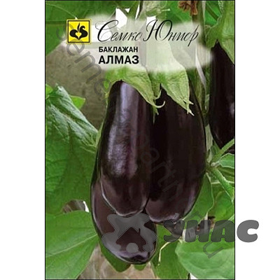 Баклажан Алмаз Семко Ц