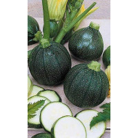 Кабачок Горшочек Марс Ц