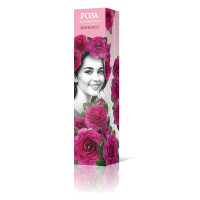 Роза флорибунда Минерва Садовита