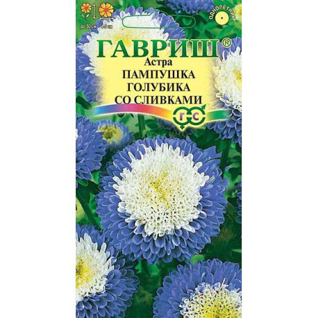 Астра Пампушка голубика со сливками Гавриш Ц