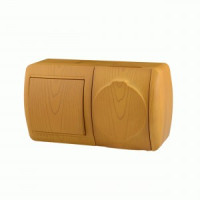 Lezard Ната блок ОУ роз.1 мест(земля, крыш,16А)+выкл. 1 кл. 10А ольха гориз (корп.PC)  710-0700-170