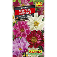 Космос Морские ракушки Аэлита Ц