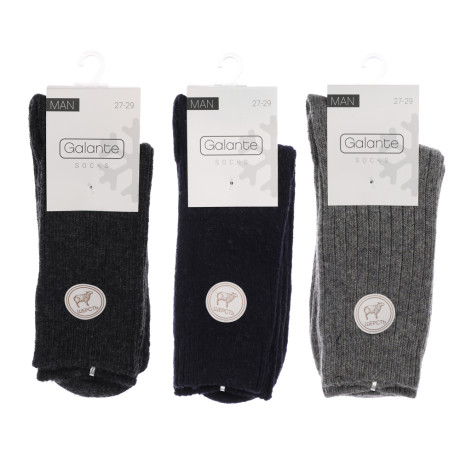 GALANTE Носки мужские, р.27-29, 65% полиэстер, 20% акрил, 15% шерсть, цвета в ас-те