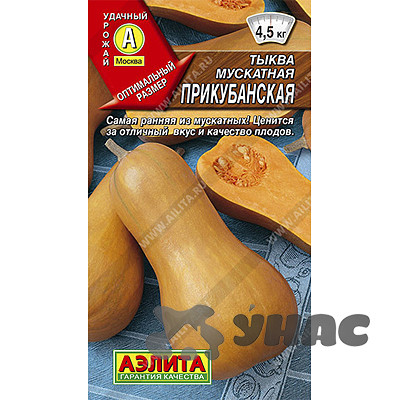 Тыква Прикубанская мускатная  Аэлита Ц