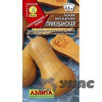Тыква Прикубанская мускатная  Аэлита Ц