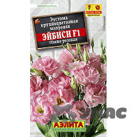 Эустома Эйбиси темно-розовая Аэлита Ц