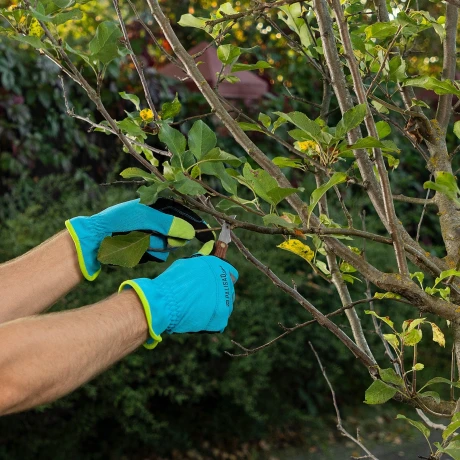 Нож грибника складной, 145 мм, деревянная рукоятка, Palisad