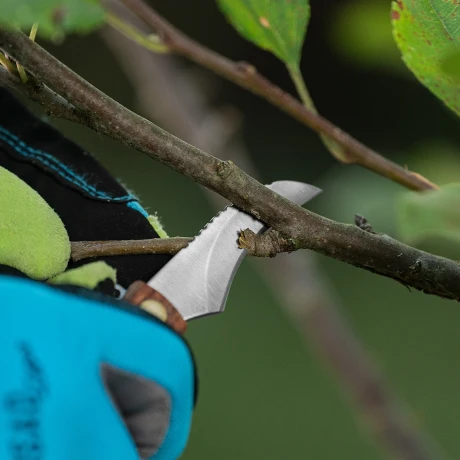 Нож грибника складной, 145 мм, деревянная рукоятка, Palisad