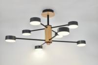 General Люстра 8GX53 50W 700х665 230V черный, мет/дер Элизиум без пульта IP20 662335