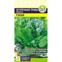 Огуречная Трава Гном СемАлт Ц