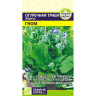 Огуречная Трава Гном СемАлт Ц