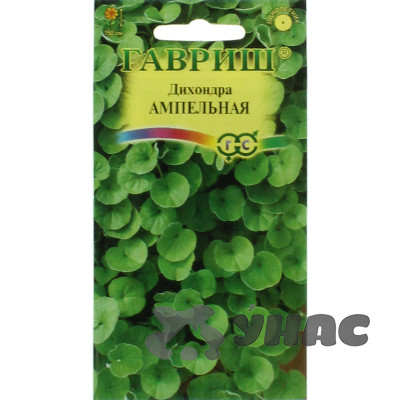 Дихондра Ампельная Гавриш Ц