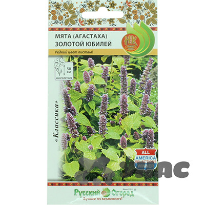 Мята Золотой юбилей (Агастаха) НК Ц