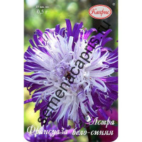 К Астра Франсуаза бело-синяя