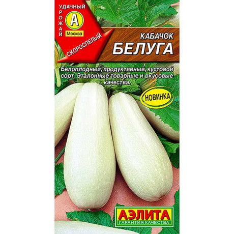 Кабачок Белуга Аэлита Ц