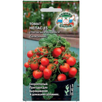 То Непас 15 Седек Ц