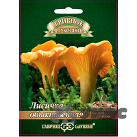 Мицелий Лисички на зерновом субстрате Гавриш Ц